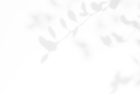 葉っぱ